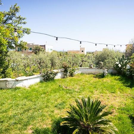 Green House Bed and Breakfast Monopoli Εξωτερικό φωτογραφία