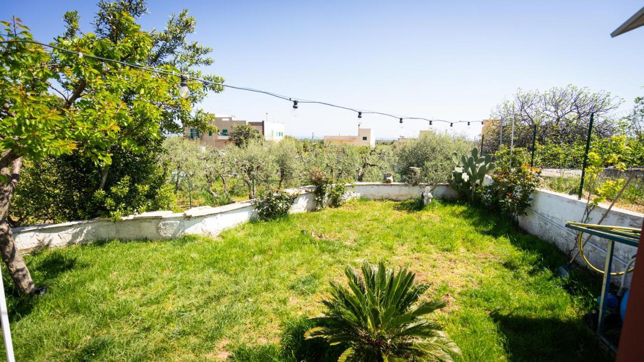 Green House Bed and Breakfast Monopoli Εξωτερικό φωτογραφία