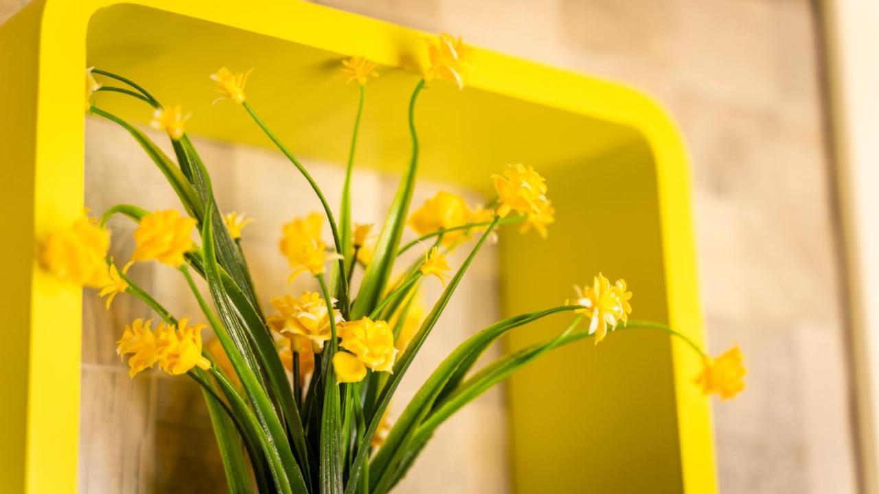 Green House Bed and Breakfast Monopoli Εξωτερικό φωτογραφία