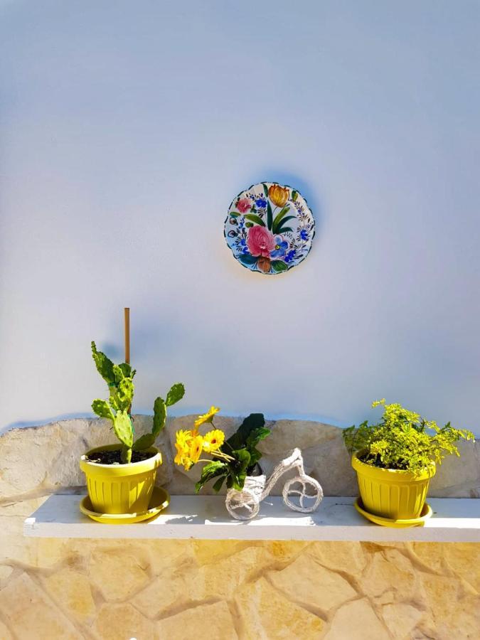 Green House Bed and Breakfast Monopoli Εξωτερικό φωτογραφία